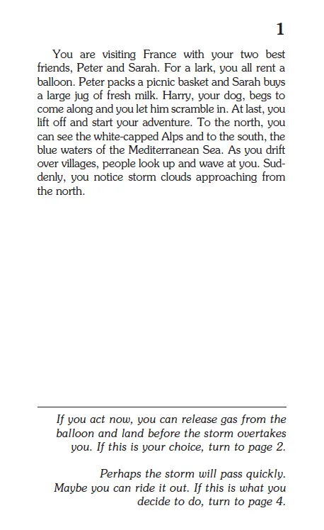 By Balloon To The Sahara, Children's Book